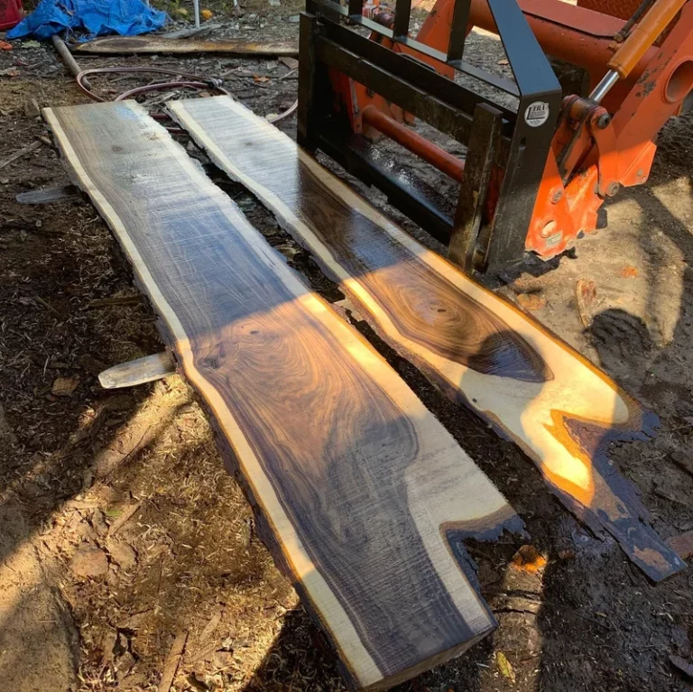 black walnut 768x767