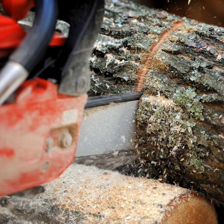 chainsaw