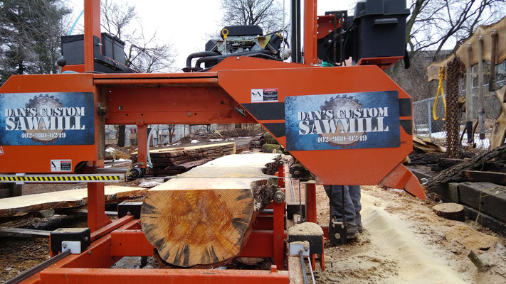 dans sawmill