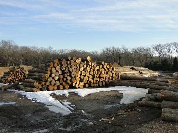 stack of lumber