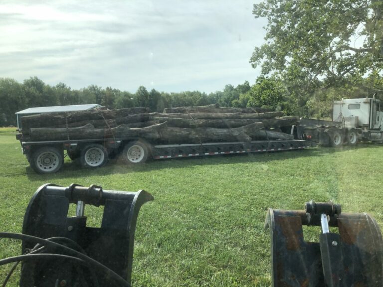 2019 09 27 truck load logs 768x576