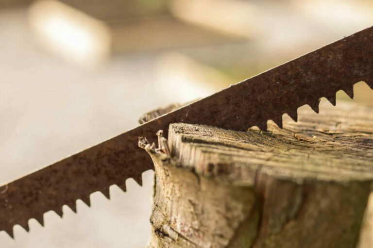 logs 2 lumber teeth of blade 768x511