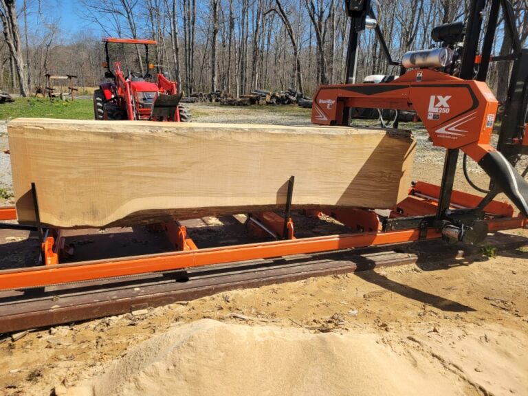 lx250 with slab 768x576