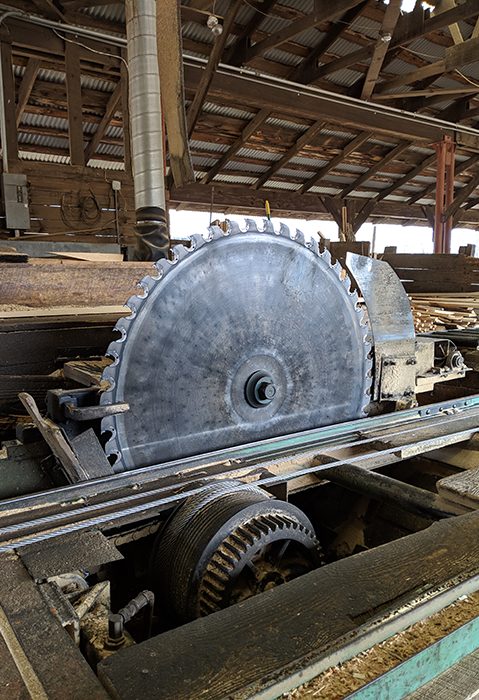 circle saw blade