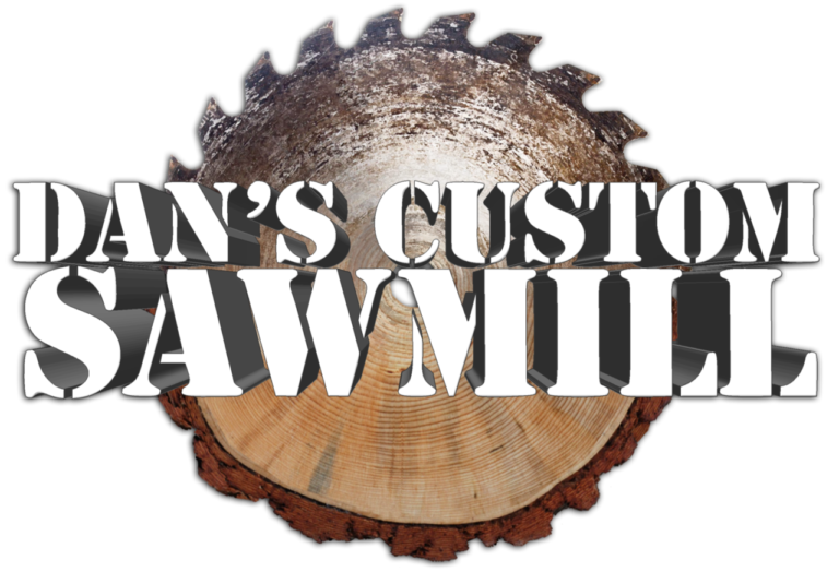 dans logo with shadow 1 768x524